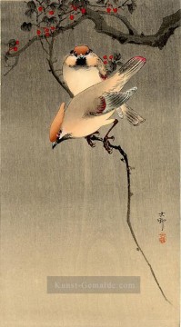 Japanische Werke - Stare und Kirschbaum Ohara Koson Japanisch